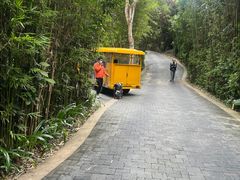 -三亚亚龙湾人间天堂鸟巢度假村