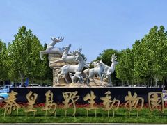 -秦皇岛野生动物园