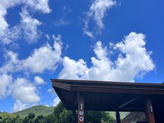 -三亚亚龙湾人间天堂鸟巢度假村