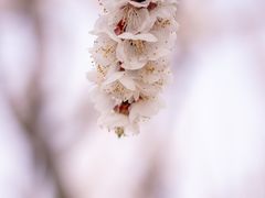 -塘沽森林公园