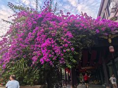 -南山民肴·乡土徽菜(豪辰俪景店)