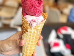 -Patagonia Chocolates(皇后镇店)