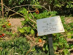 -广州神农草堂中医药博物馆