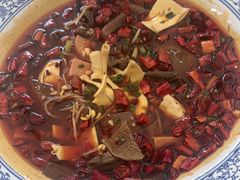 -院8里·少城记忆老川菜(宽窄巷子店)