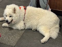 -瑞虹新天地月亮湾