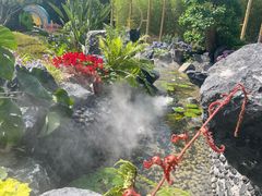 -深圳仙湖植物园
