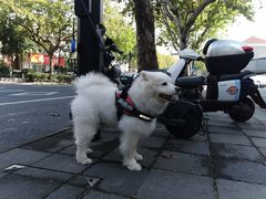 -珊珊小笼馆(仙霞路店)