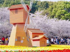 -苏州上方山国家森林公园