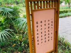-望江楼公园