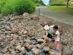 -白塘生态植物园