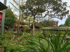 -青城甲(青城山店)