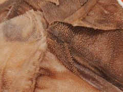 -爸爸炒料牛排老火锅(建设路旗舰店)