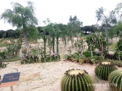 -东莞植物园