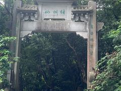 -梧桐山风景名胜区