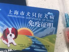 -申普宠物医院·心脏介入·心血管微创(总院)