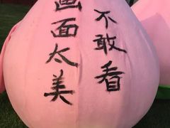 -田园东方蜜桃村的田野营地