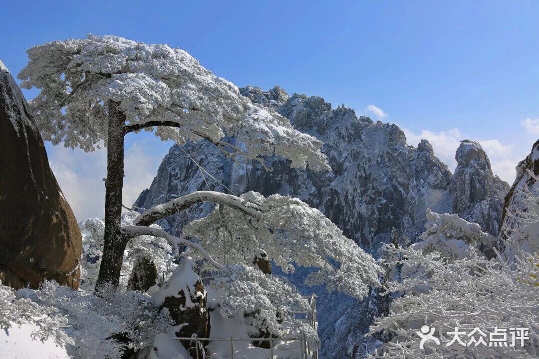 【博洋视线】 难忘黄山雪️ 云和雪都恋着这山峦