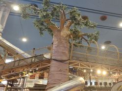 -卡通尼·Safari非洲探索乐园·生日会(金桥国际商业广场店)