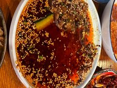 -柴窝堡22号辣子鸡·传承新疆菜