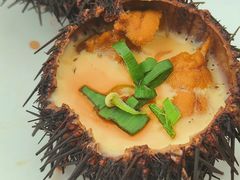 -海胆小馆(东北水饺·春柳店)