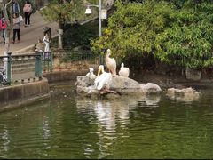 -昆明动物园