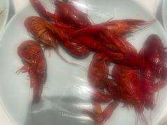 -水之梦(黄浦店)