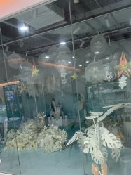 -可优蜜儿童摄影