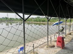 -会江钓鱼钓虾烧烤场