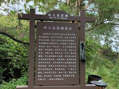 -阳台山自然风景区