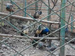 android_upload_pic-藏龙百瀑风景区