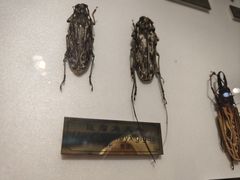-上海昆虫博物馆