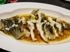 清蒸笋壳鱼-炊江南·上海菜(国展华漕店)