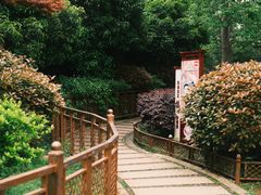 -绳金塔