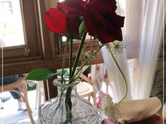 -Jo's Garden