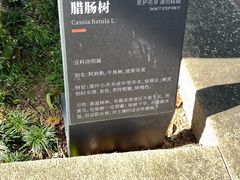 -碧江金楼