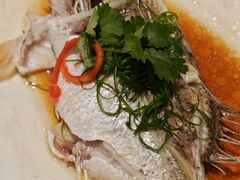 -中山市绿华园食府