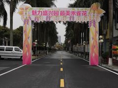 -盛兴中英文学校