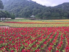 -广州市石门国家森林公园