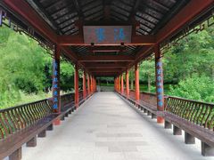 -重庆彩云湖湿地公园
