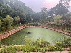 -南京老山国家森林公园