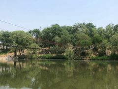 -东方巨龟苑景区