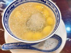 -大中鱼翅 Taitong Shark Fin