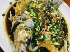 -全乐鱼馆·淳牌有机鱼直营店