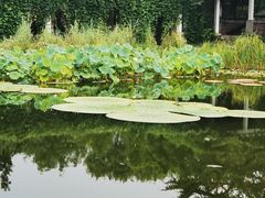 -国家植物园南园