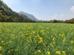 -贵阳市花溪国家城市湿地公园