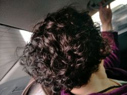 -红人馆造型十添