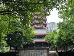 -塔子山公园