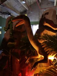 -恐龙探索乐园(磁器口店)