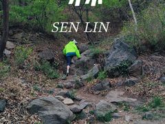 -北京西山国家森林公园