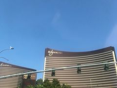 -拉斯维加斯永利酒店